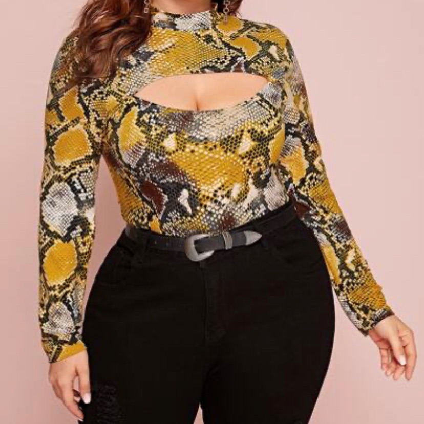 Python Cut Top